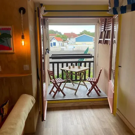 Agreable Loft Proche Ocean Classe 1 Etoile Refait A Neuf * Biscarrosse